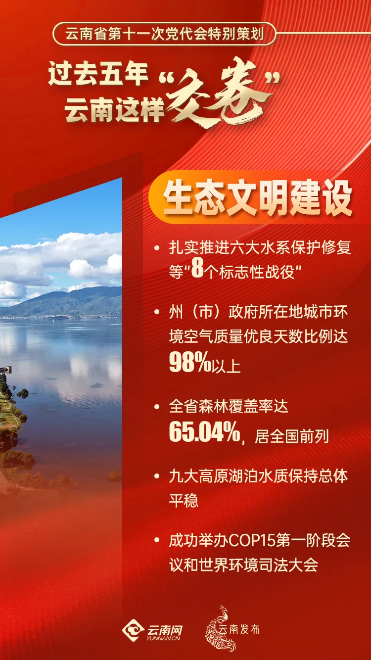 图片15.png