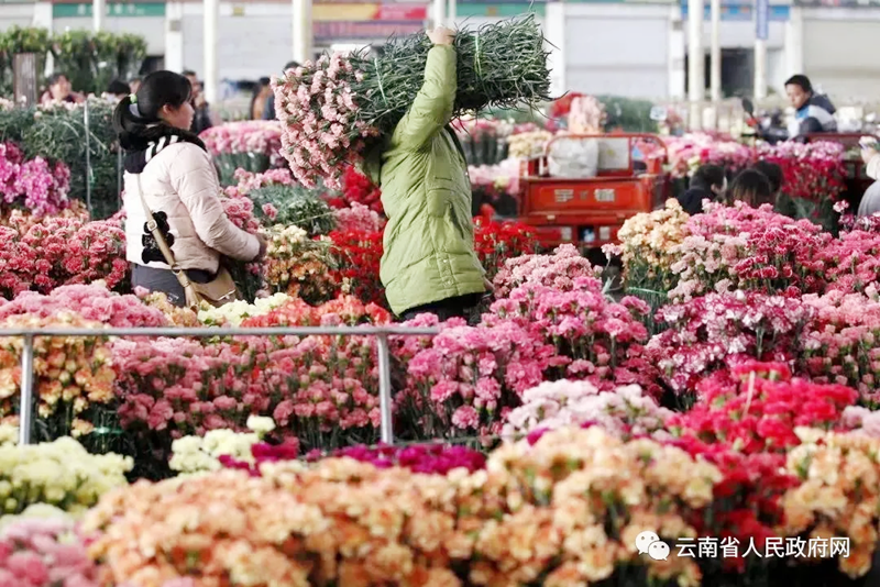 图片5_副本.png